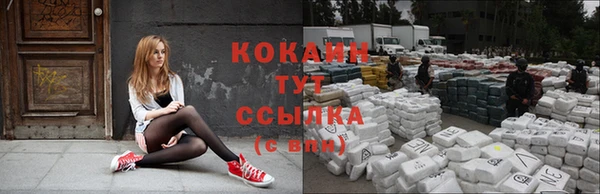 гашик Вязники