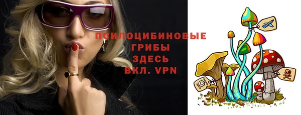 гашик Вязники