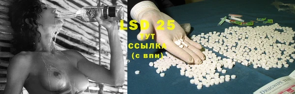 гашик Вязники