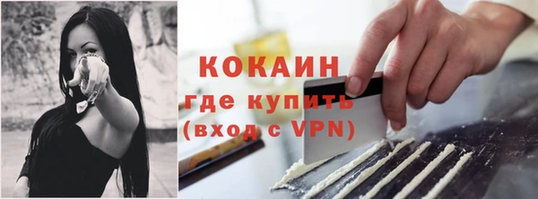 гашик Вязники