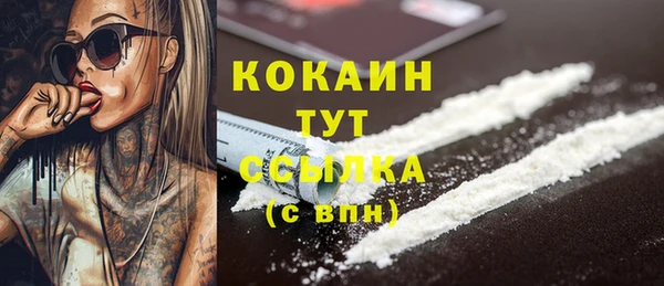 гашик Вязники