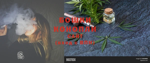 круглые Вязьма