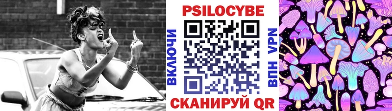 блэк спрут ссылка  Отрадное  Псилоцибиновые грибы мицелий  где продают  